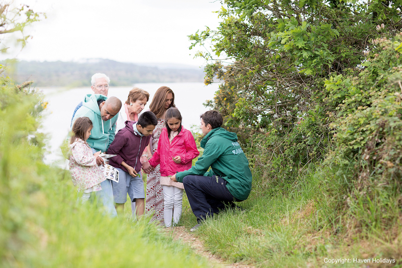 Investigating wildlife close to the coast