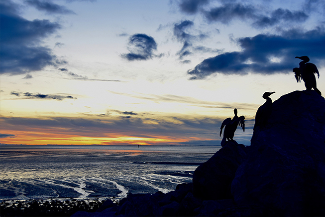 morecambe