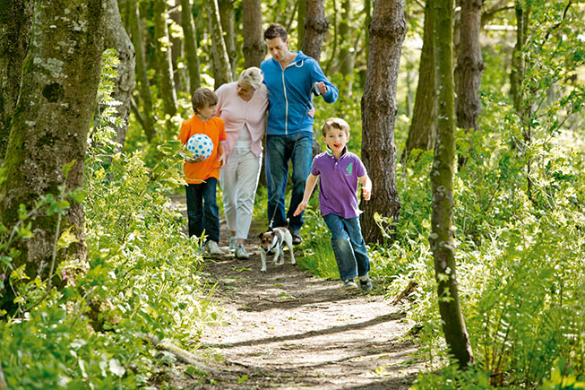 family in wood