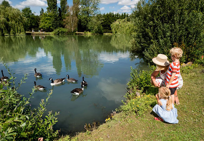 carlton mere