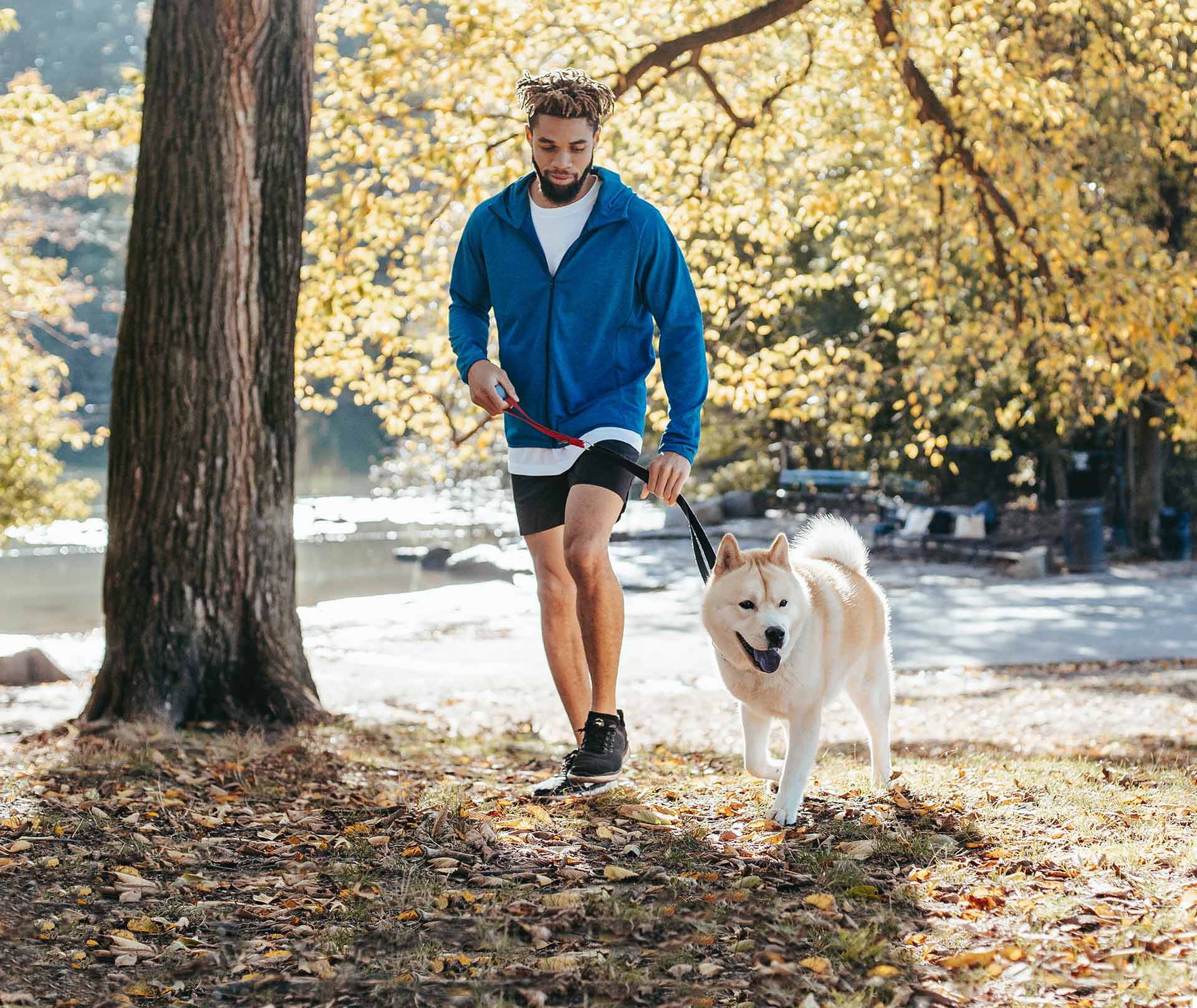 7 Last Minute Dog Friendly Holiday Cottages This 2021