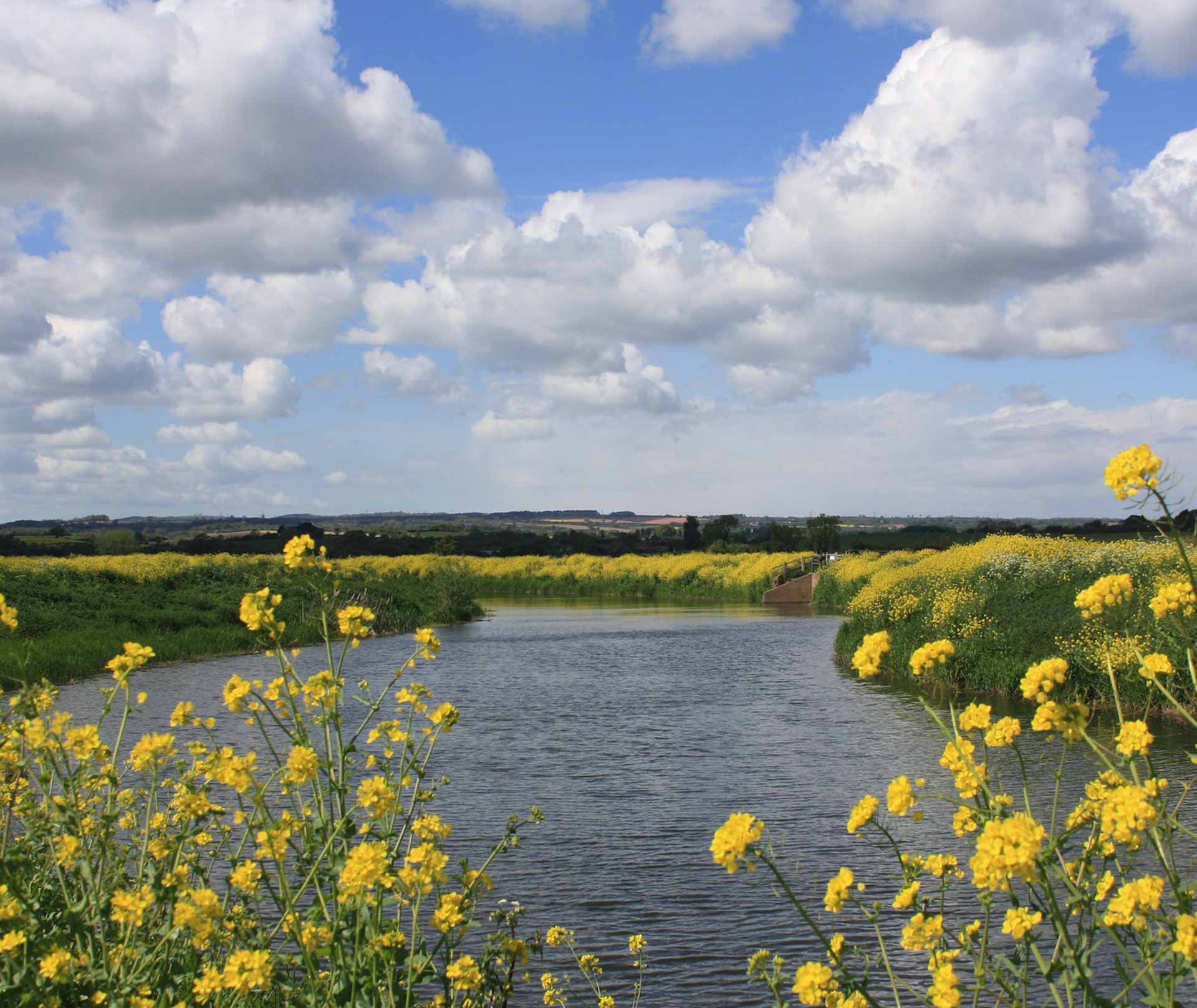 The Best Holiday Parks in Somerset You’ll Want to Visit This 2023
