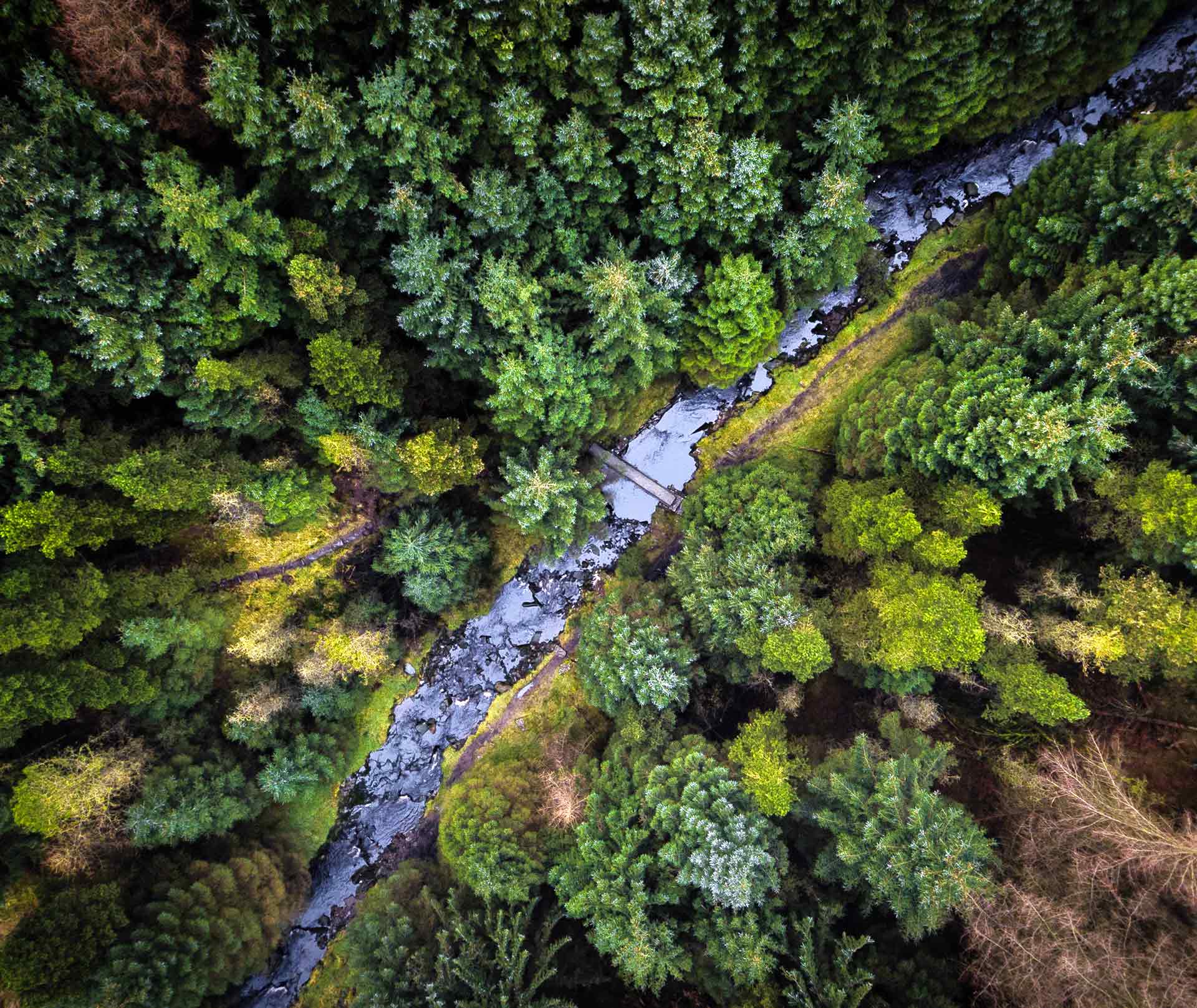 7 Best Peak District Log Cabins With Hot Tubs You Need To Visit in 2023