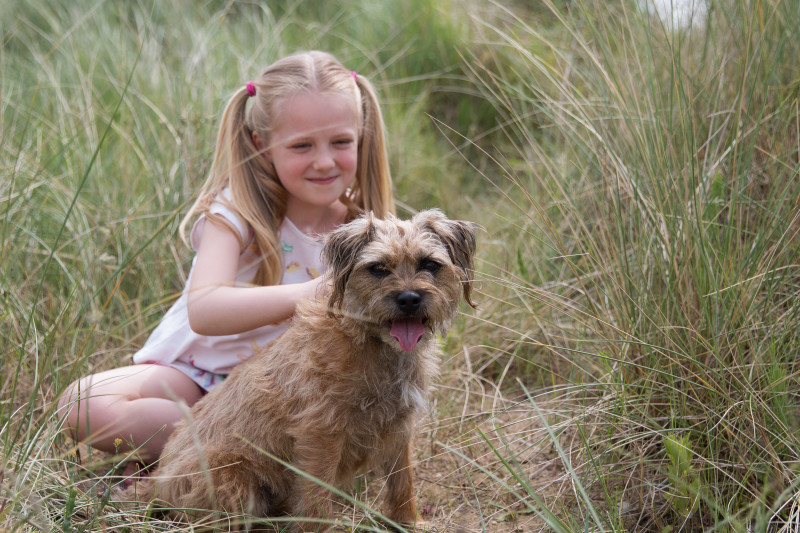The Best DogFriendly Holidays in Wales
